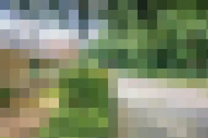 Alexanderlaan 16 Apeldoorn thumbnail 35