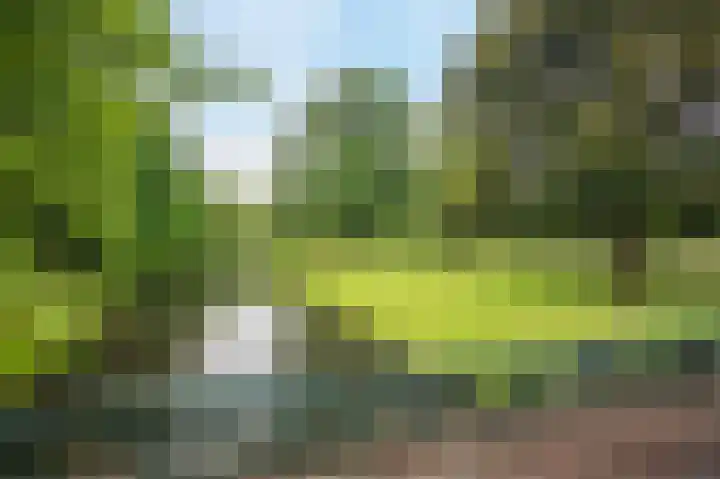 Alexanderlaan 16 Apeldoorn thumbnail 38