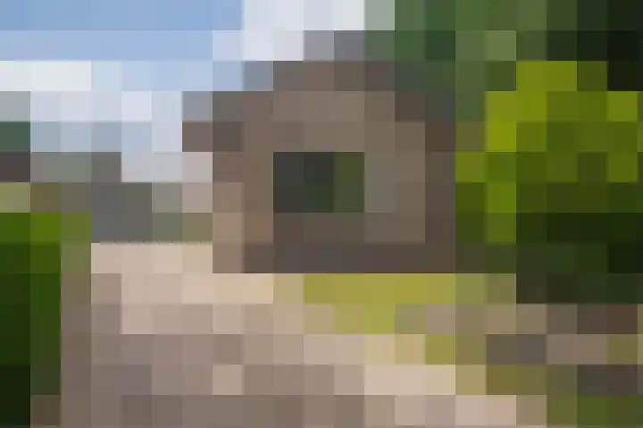Alexanderlaan 16 Apeldoorn thumbnail 4