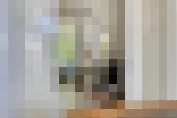 Alexanderlaan 17 Hilversum thumbnail 14