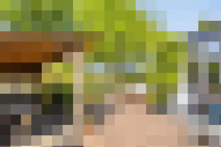 Alexanderlaan 17 Hilversum thumbnail 23
