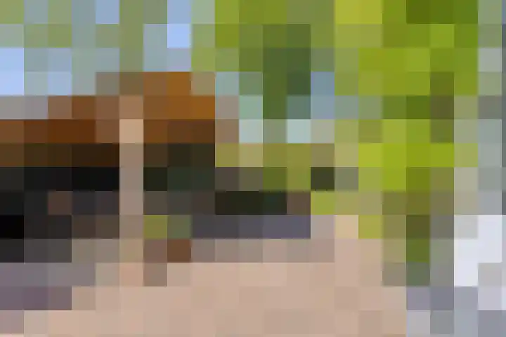 Alexanderlaan 17 Hilversum thumbnail 25