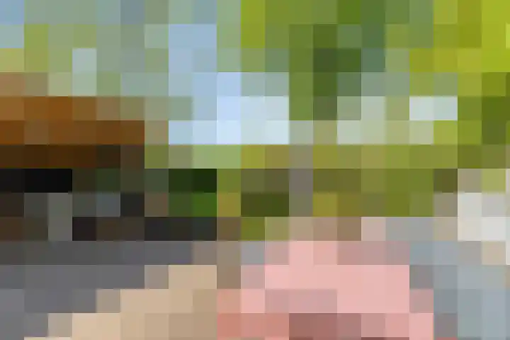 Alexanderlaan 17 Hilversum thumbnail 26