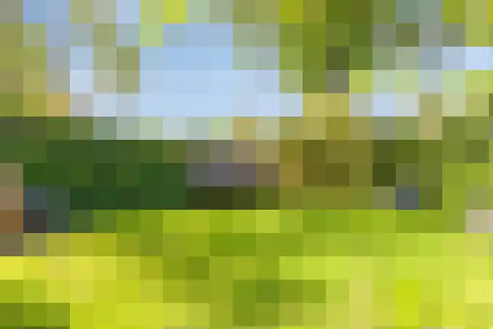 Alexanderlaan 17 Hilversum thumbnail 27