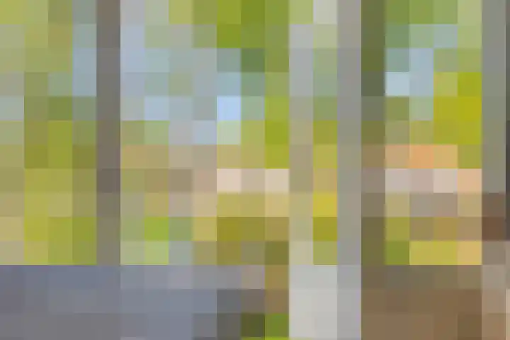 Alexanderlaan 17 Hilversum thumbnail 32