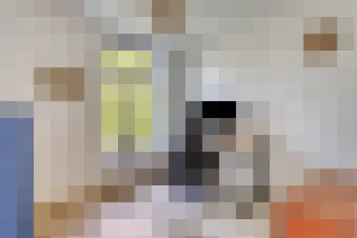 Alexanderlaan 17 Hilversum thumbnail 45