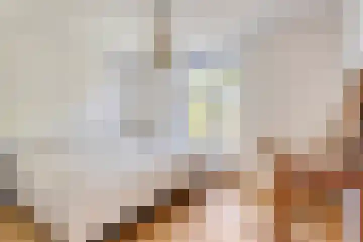 Alexanderlaan 17 Hilversum thumbnail 47