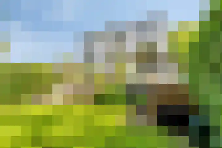 Alexanderlaan 17 Hilversum thumbnail 52