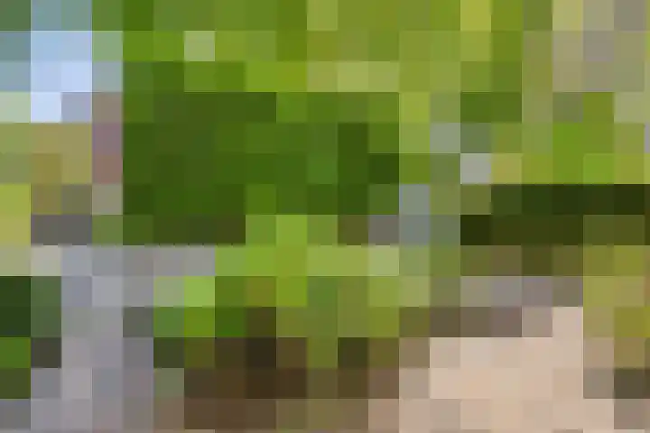Alexanderlaan 17 Hilversum thumbnail 53