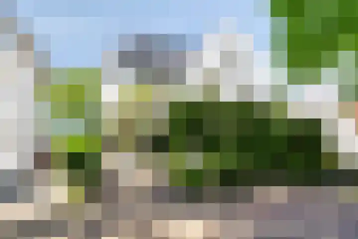 Alexanderlaan 17 Hilversum thumbnail 58