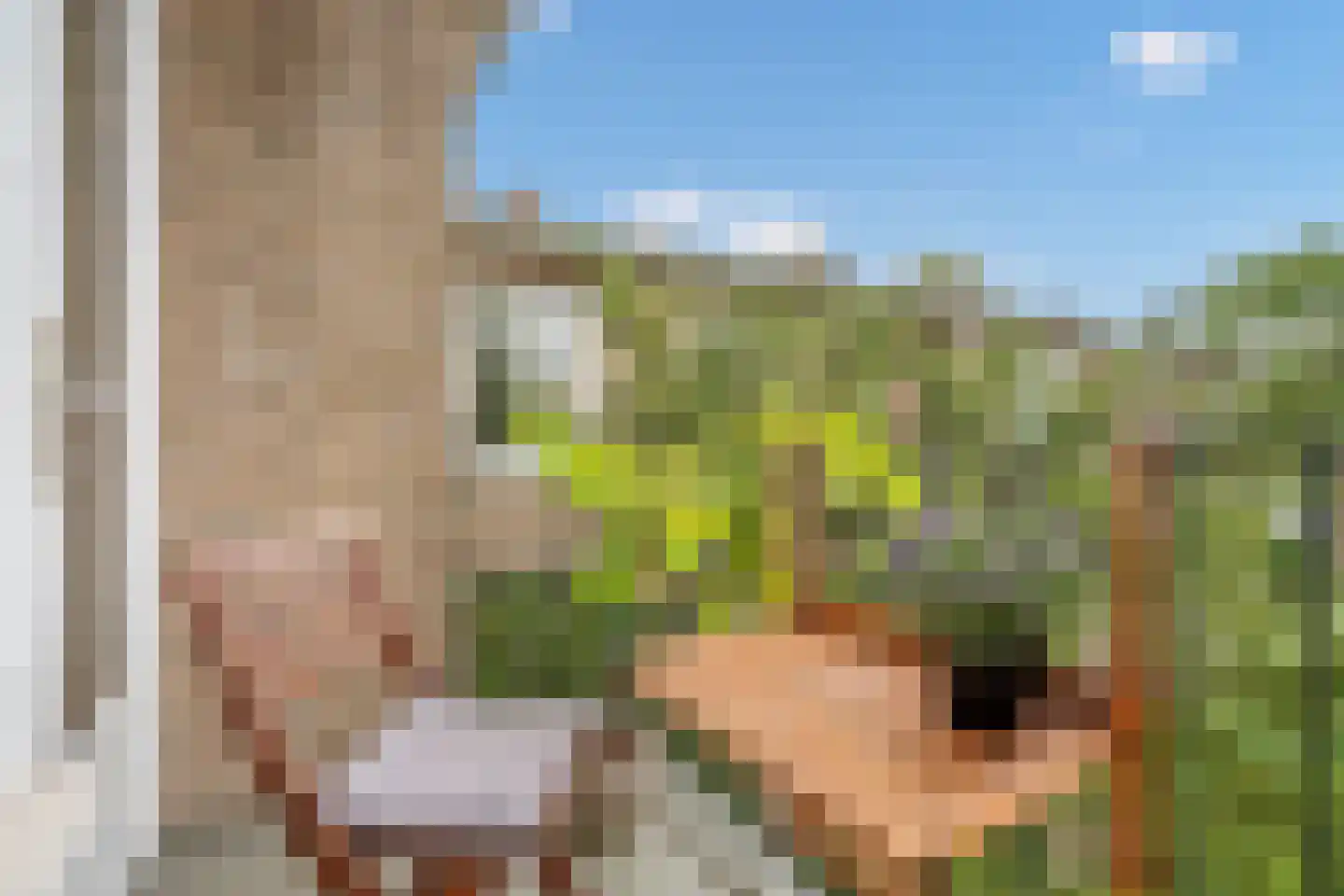 Alexanderlaan 18 Rijswijk thumbnail 18