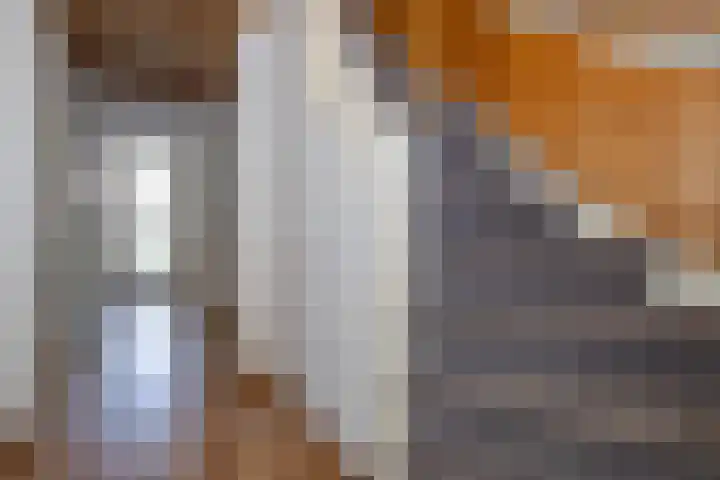 Alexanderlaan 27 Hilversum thumbnail 11