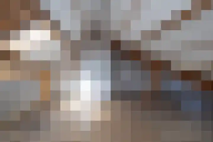 Alexanderlaan 27 Hilversum thumbnail 18