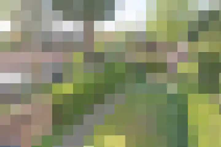 Alexanderlaan 27 Hilversum thumbnail 19