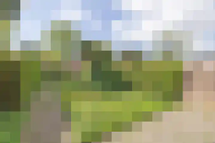 Alexanderlaan 27 Hilversum thumbnail 20