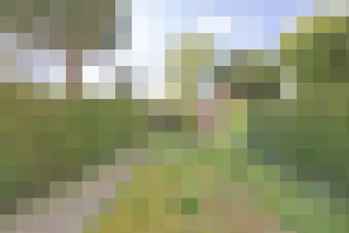 Alexanderlaan 27 Hilversum thumbnail 21