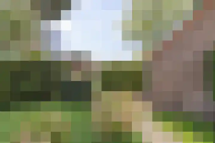 Alexanderlaan 27 Hilversum thumbnail 23