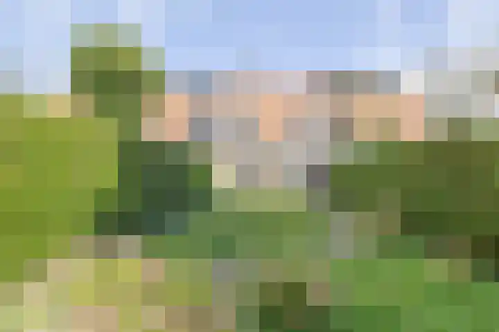 Alexanderlaan 27 Hilversum thumbnail 24