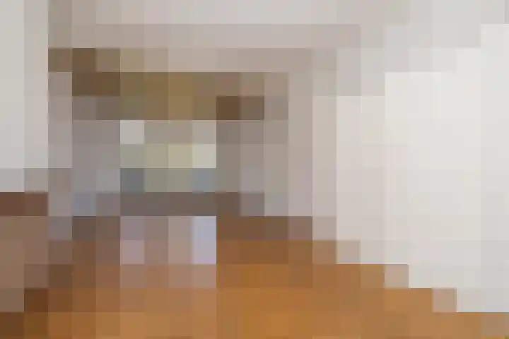 Alexanderlaan 27 Hilversum thumbnail 6