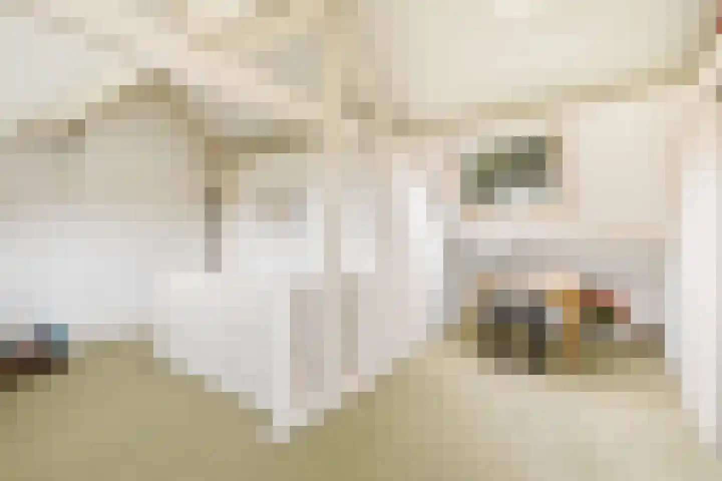 Alexanderlaan 42 Hilversum thumbnail 26
