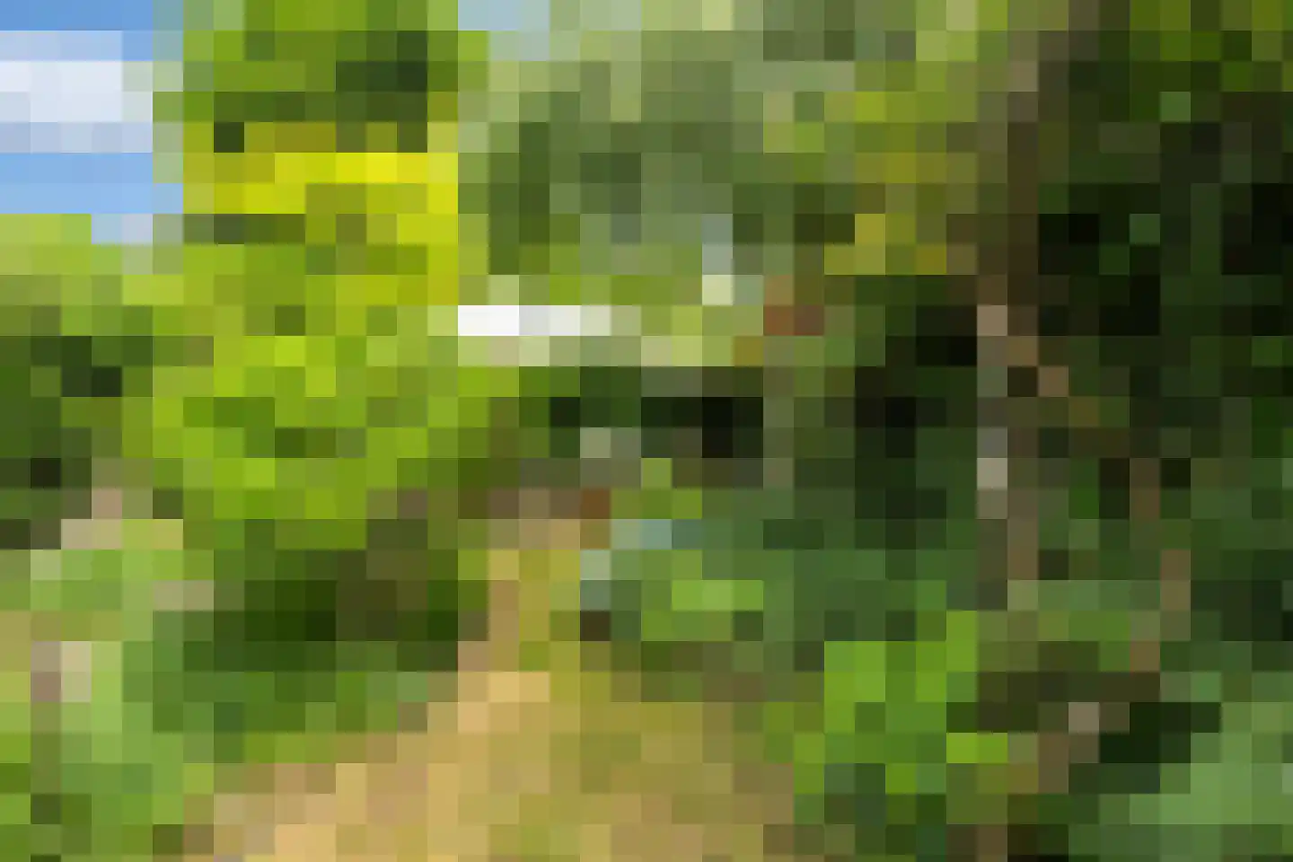 Alexanderlaan 42 Hilversum thumbnail 32