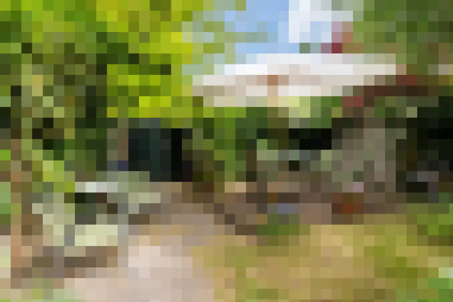 Alexanderlaan 42 Hilversum thumbnail 33