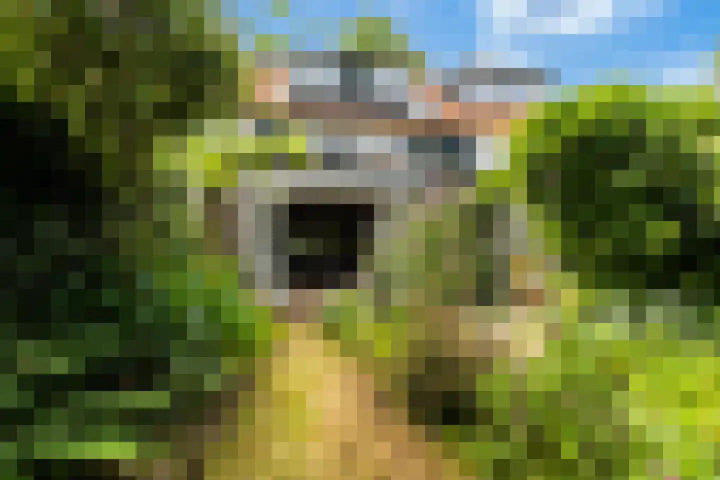 Alexanderlaan 42 Hilversum thumbnail 34