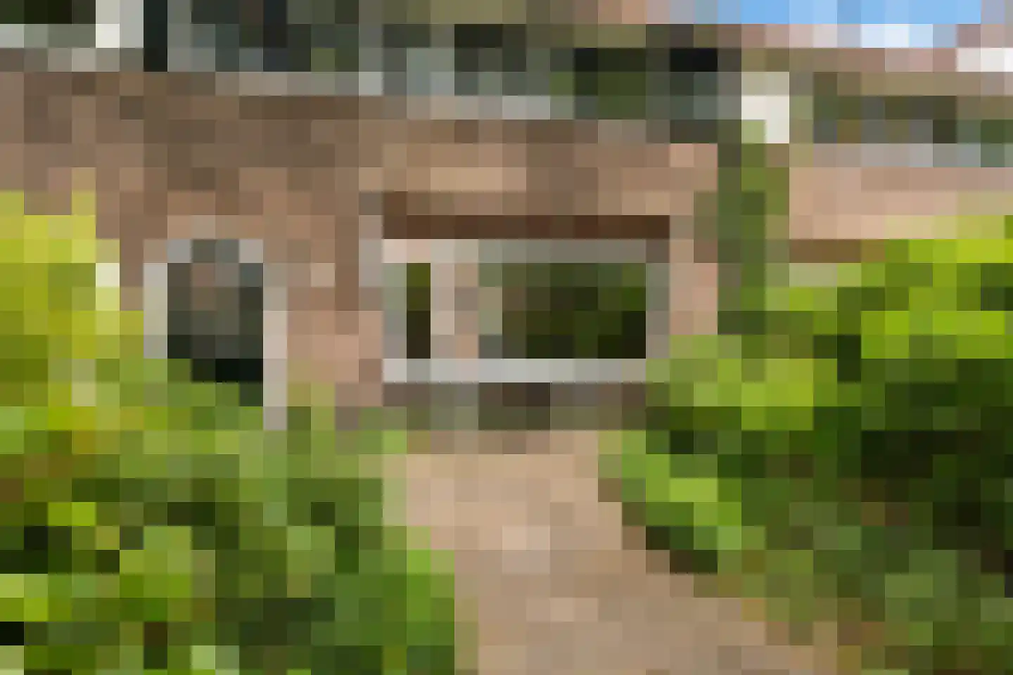 Alexanderlaan 42 Hilversum thumbnail 35