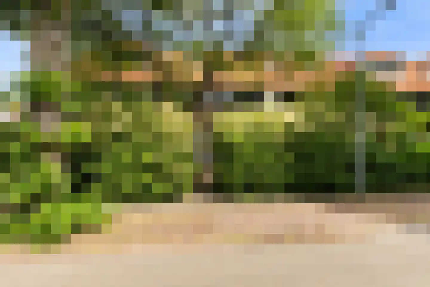 Alexanderlaan 42 Hilversum thumbnail 36