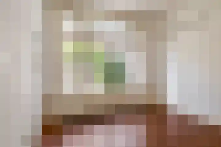 Alexanderlaan 7 Rijswijk thumbnail 18