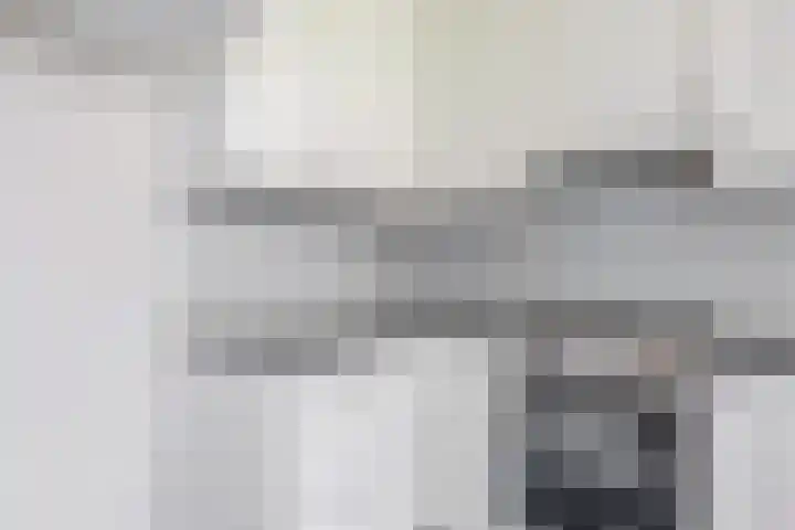 Alexanderlaan 7 Rijswijk thumbnail 21