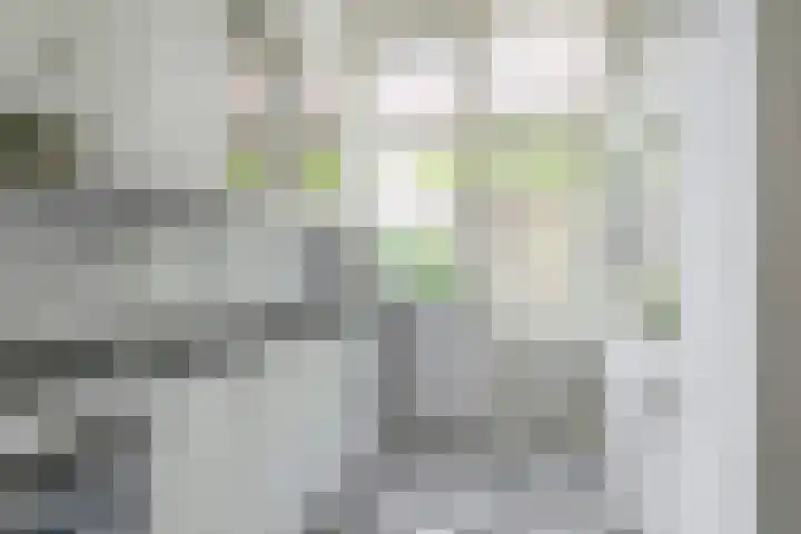 Alexanderlaan 7 Rijswijk thumbnail 23