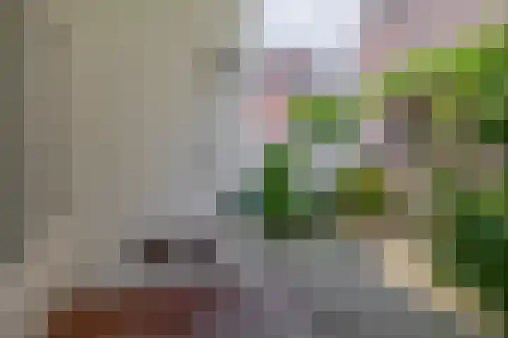 Alexanderlaan 7 Rijswijk thumbnail 24