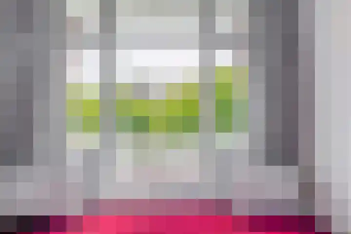 Alexanderlaan 7 Rijswijk thumbnail 39