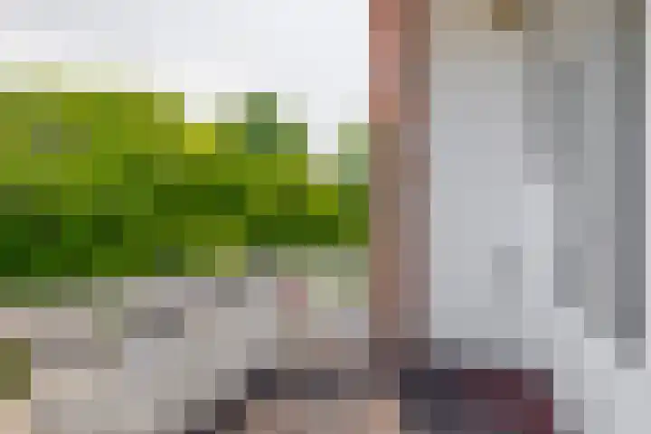 Alexanderlaan 7 Rijswijk thumbnail 40