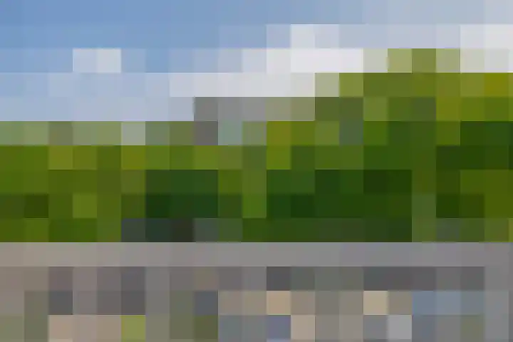 Alexanderlaan 7 Rijswijk thumbnail 42