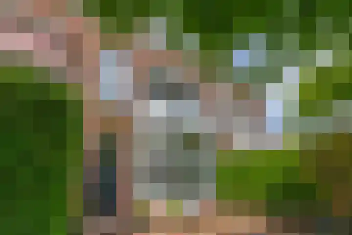 Alexanderlaan 7 Rijswijk thumbnail 56