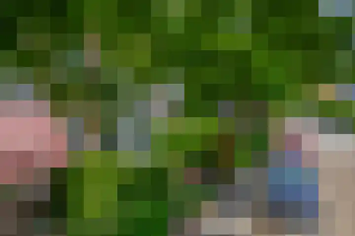 Alexanderlaan 7 Rijswijk thumbnail 59