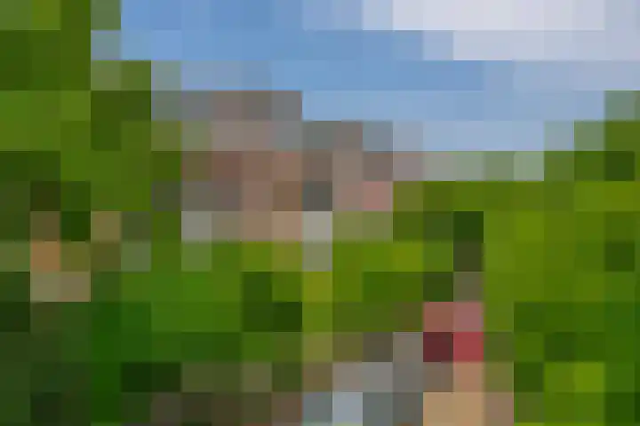 Alexanderlaan 7 Rijswijk thumbnail 60