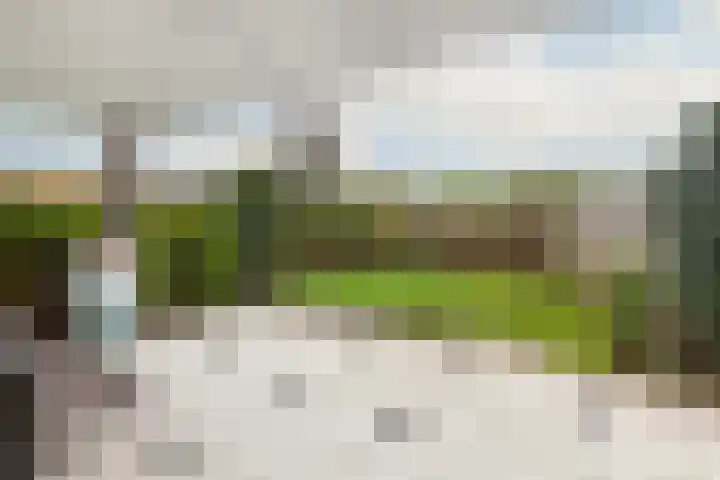 Alexanderpark 100 Ouddorp thumbnail 28