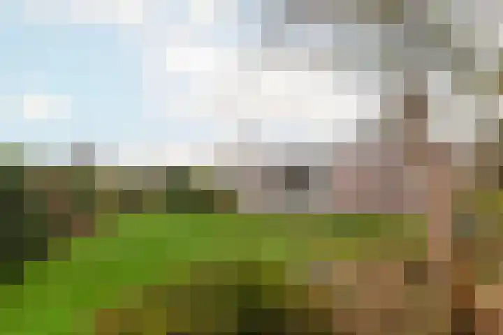 Alexanderpark 100 Ouddorp thumbnail 34