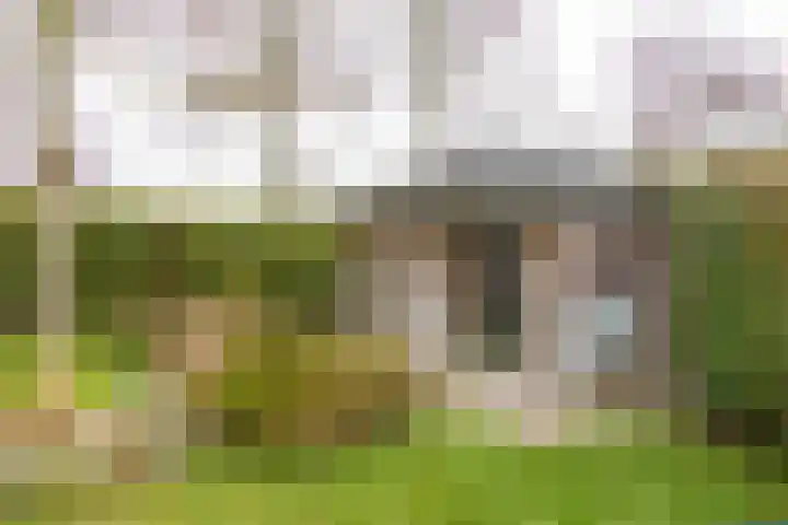 Alexanderpark 100 Ouddorp thumbnail 37