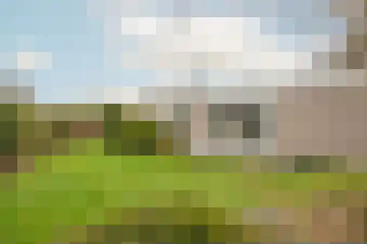 Alexanderpark 100 Ouddorp thumbnail 38