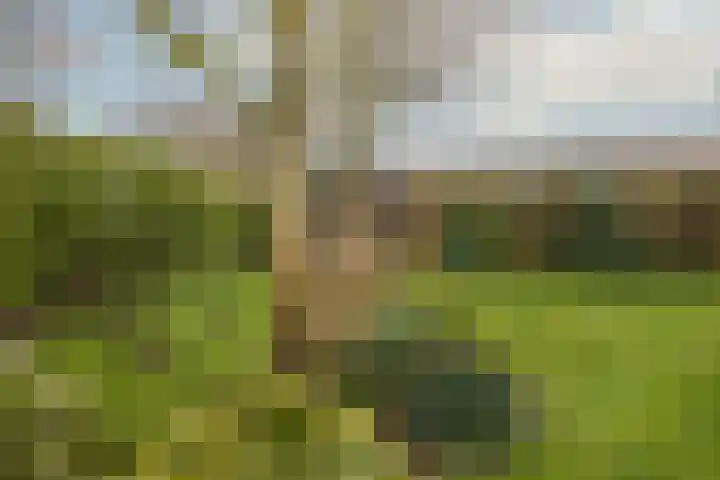 Alexanderpark 100 Ouddorp thumbnail 4