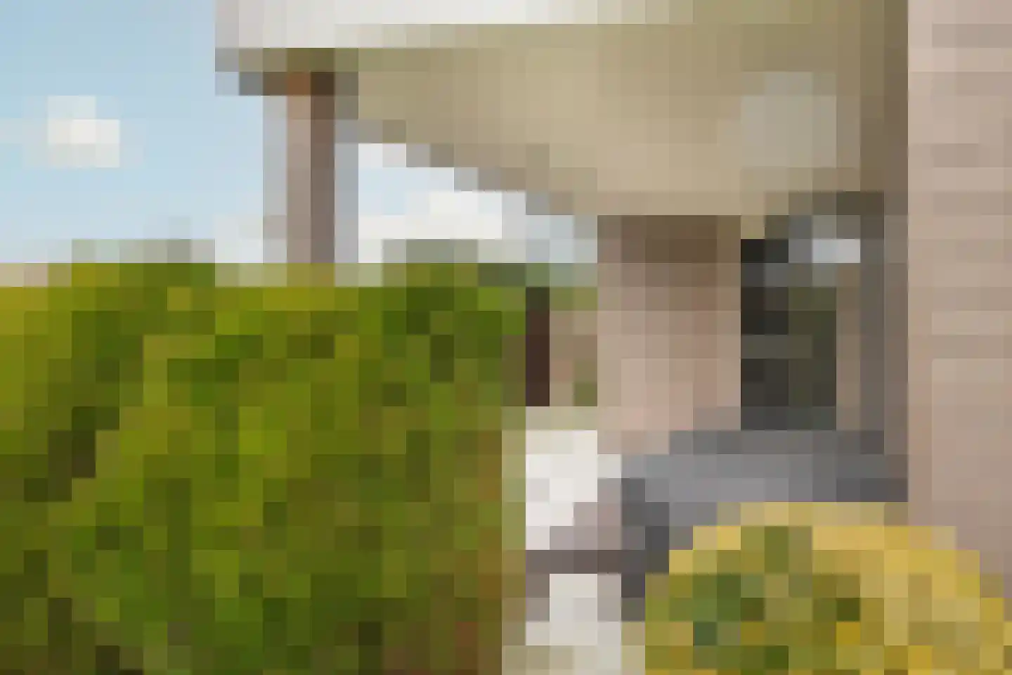 Alexanderpark 100 Ouddorp thumbnail 7