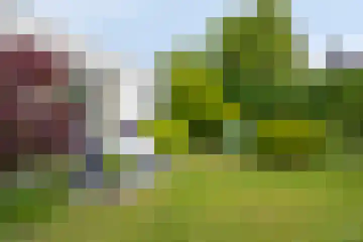 Alexanderpark 109 Ouddorp thumbnail 13