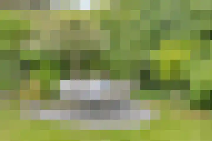 Alexanderpark 109 Ouddorp thumbnail 14