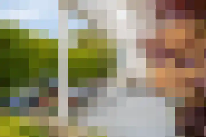 Alexanderpark 109 Ouddorp thumbnail 16