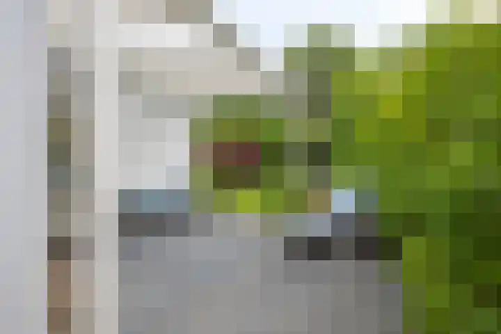 Alexanderpark 109 Ouddorp thumbnail 17