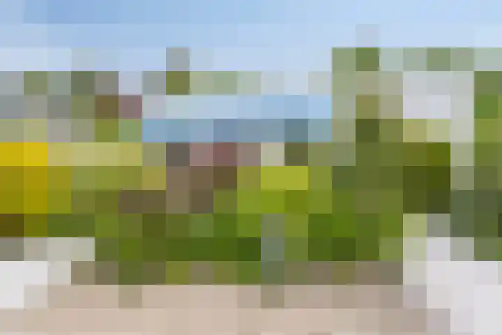 Alexanderpark 109 Ouddorp thumbnail 19